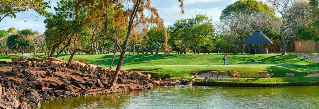 Gallery 55