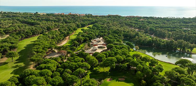 Renting Golf Clubs vs. Flying Your Own: A Comprehensive Cost & Convenience Breakdown