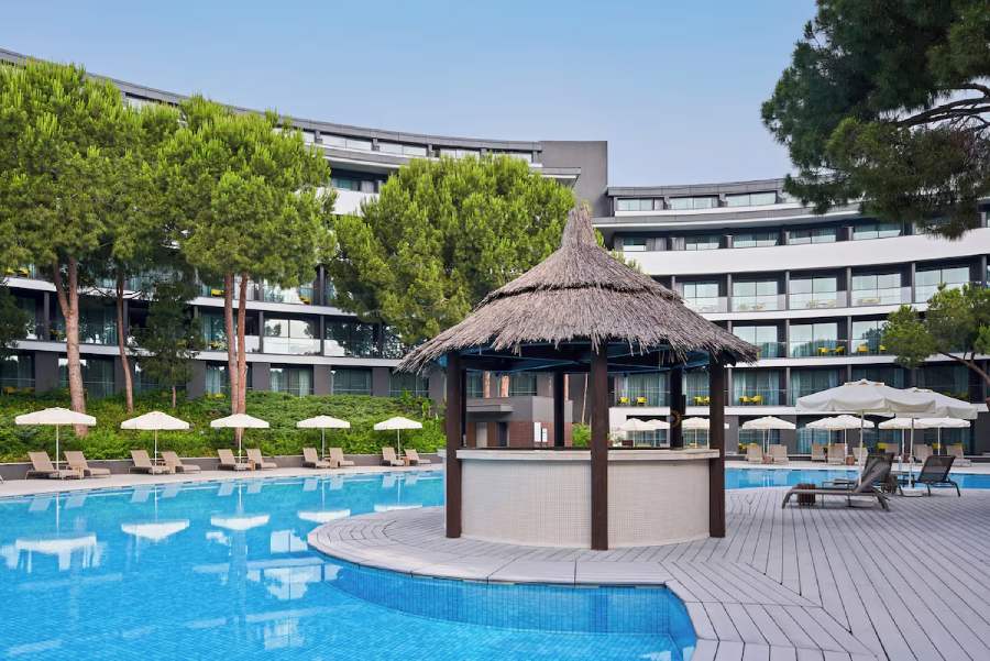 Gallery 6